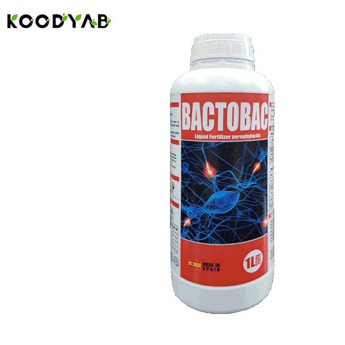 کود بک تو بک انوکا