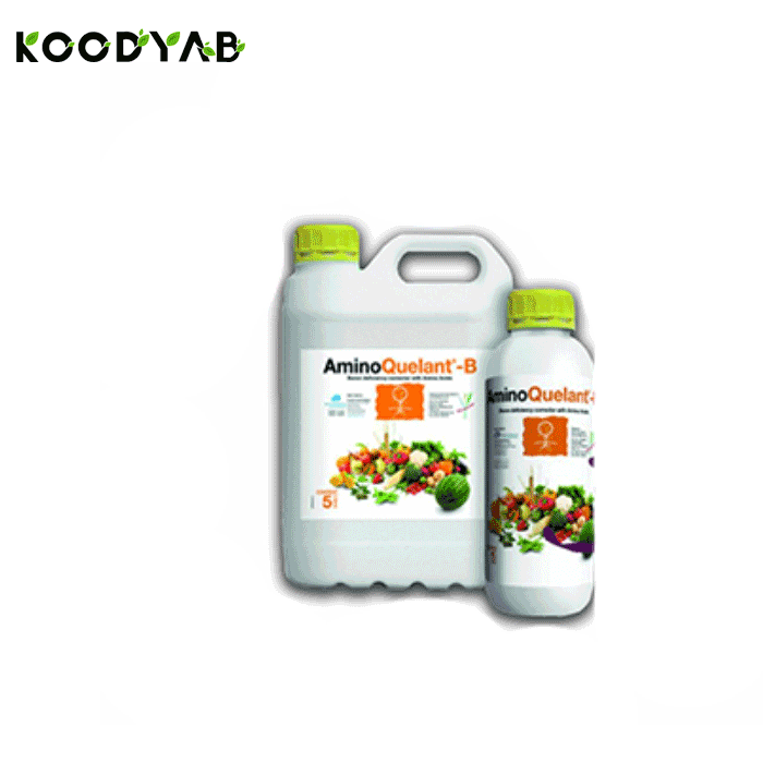 کود آمینو کوالانت بر بیوبریکا