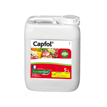 کود کپفول اگرونوتریشن