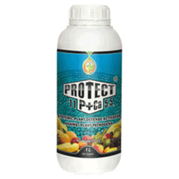 کود محافظت کننده فسفر کلسیم رایحه دشت سبز ایرانیان