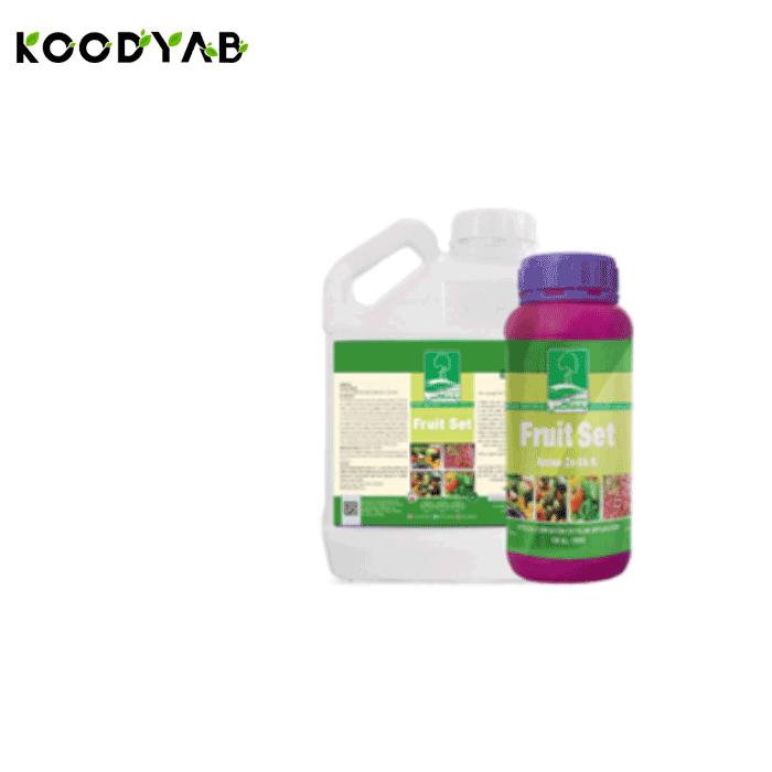 کود فروت ست به ماکس