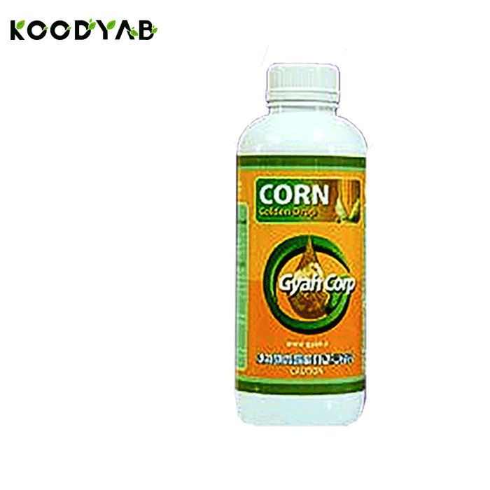 کود قطره طلا ذرت گیاه