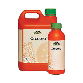 کود کروسرو آتلانتیکا