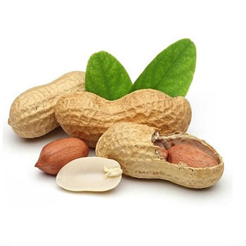 بادام زمینی