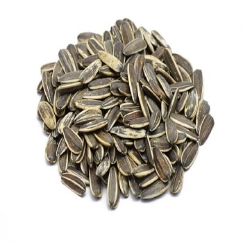 تخمه آفتابگردان