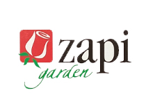 زاپی