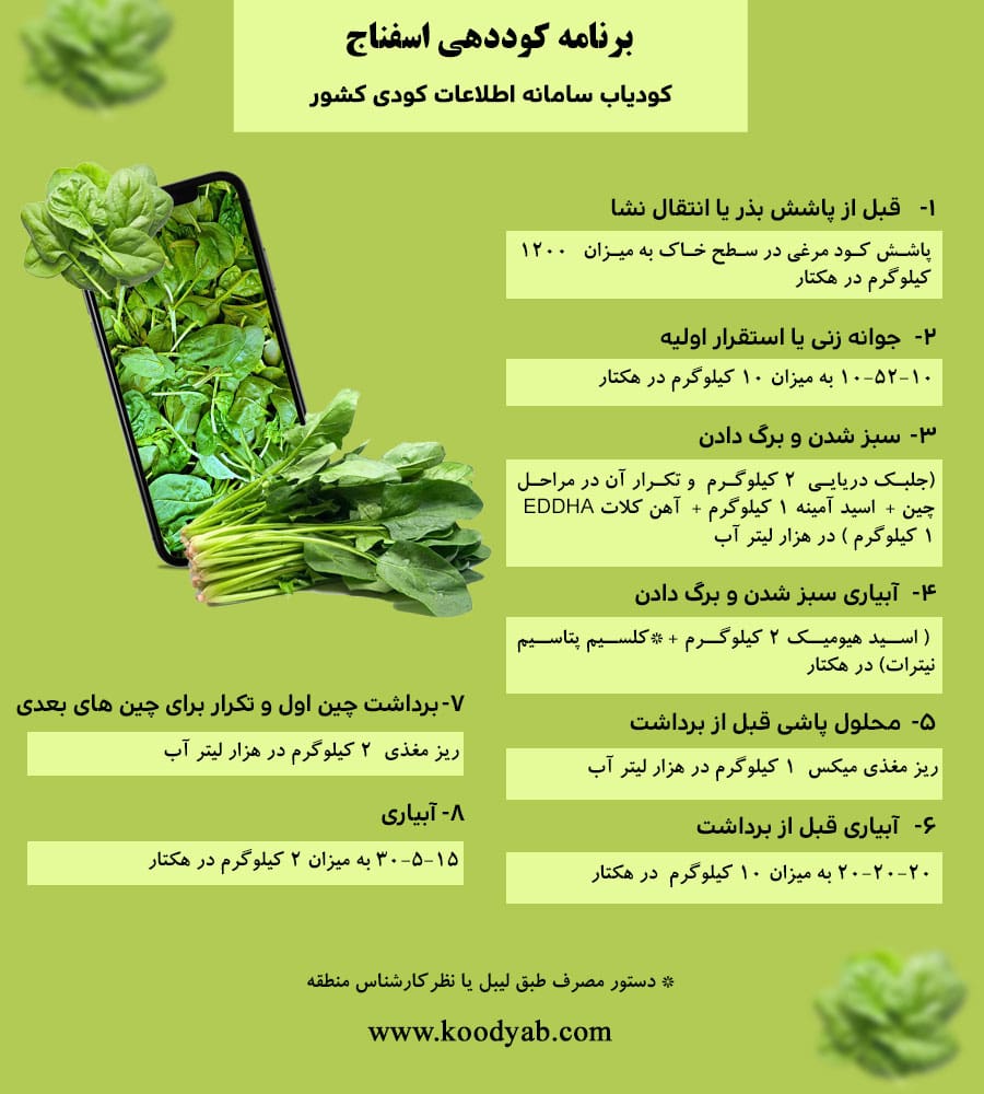 برنامه تغذیه و تقویم کوددهی اسفناج
