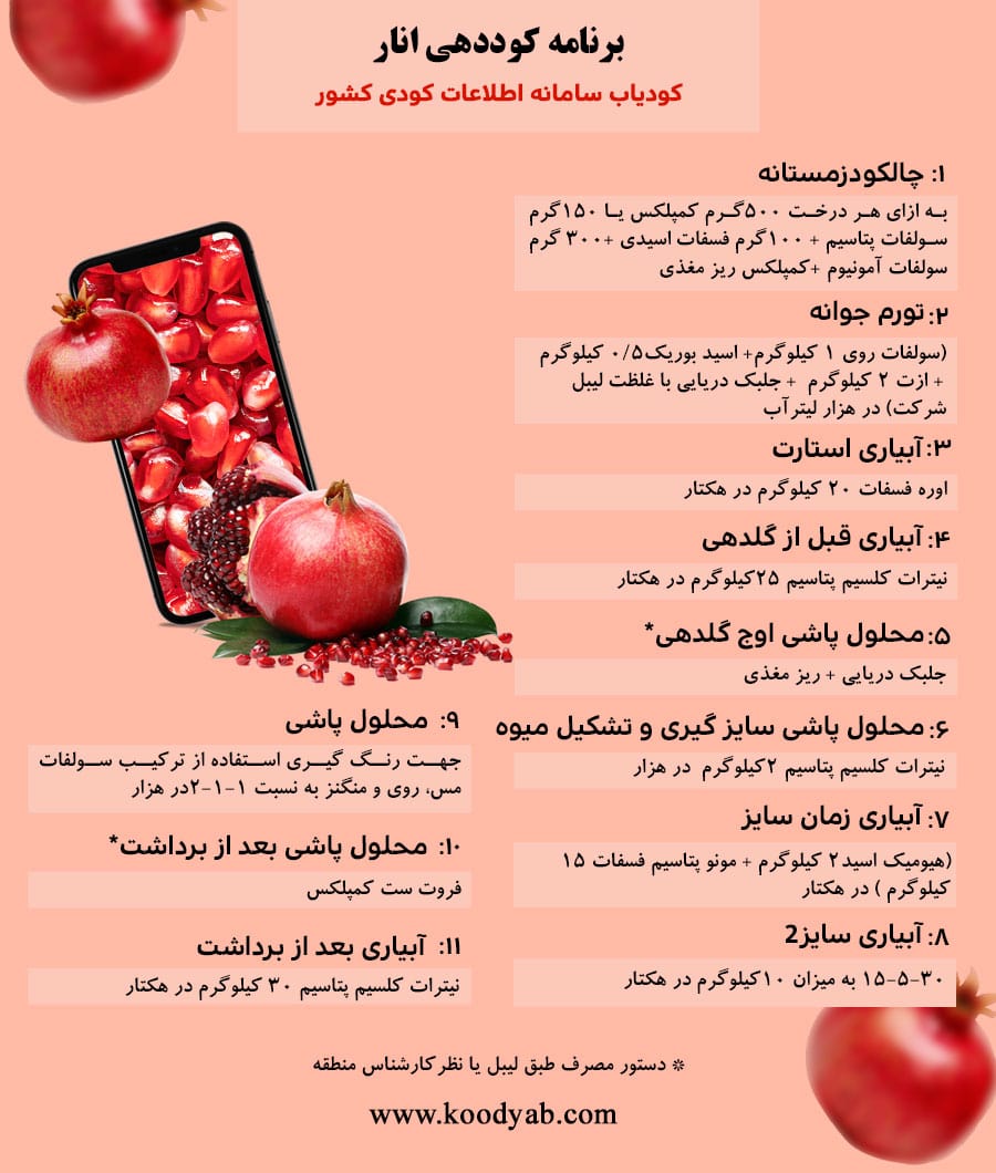 برنامه تغذیه و تقویم کوددهی انار