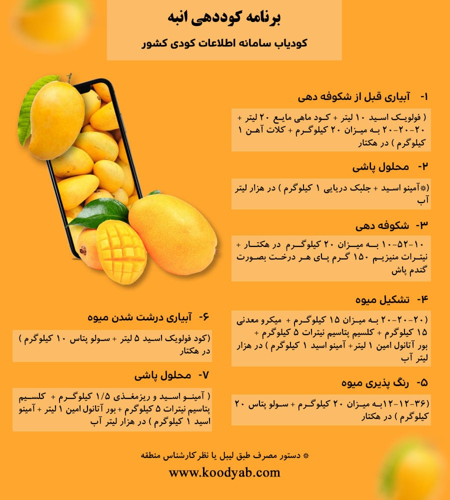 برنامه تغذیه و تقویم کوددهی انبه