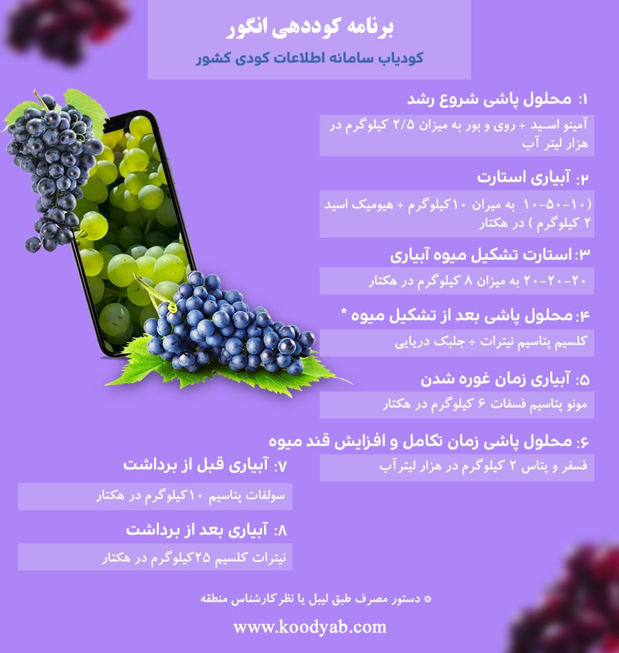 برنامه تغذیه و تقویم کوددهی انگور
