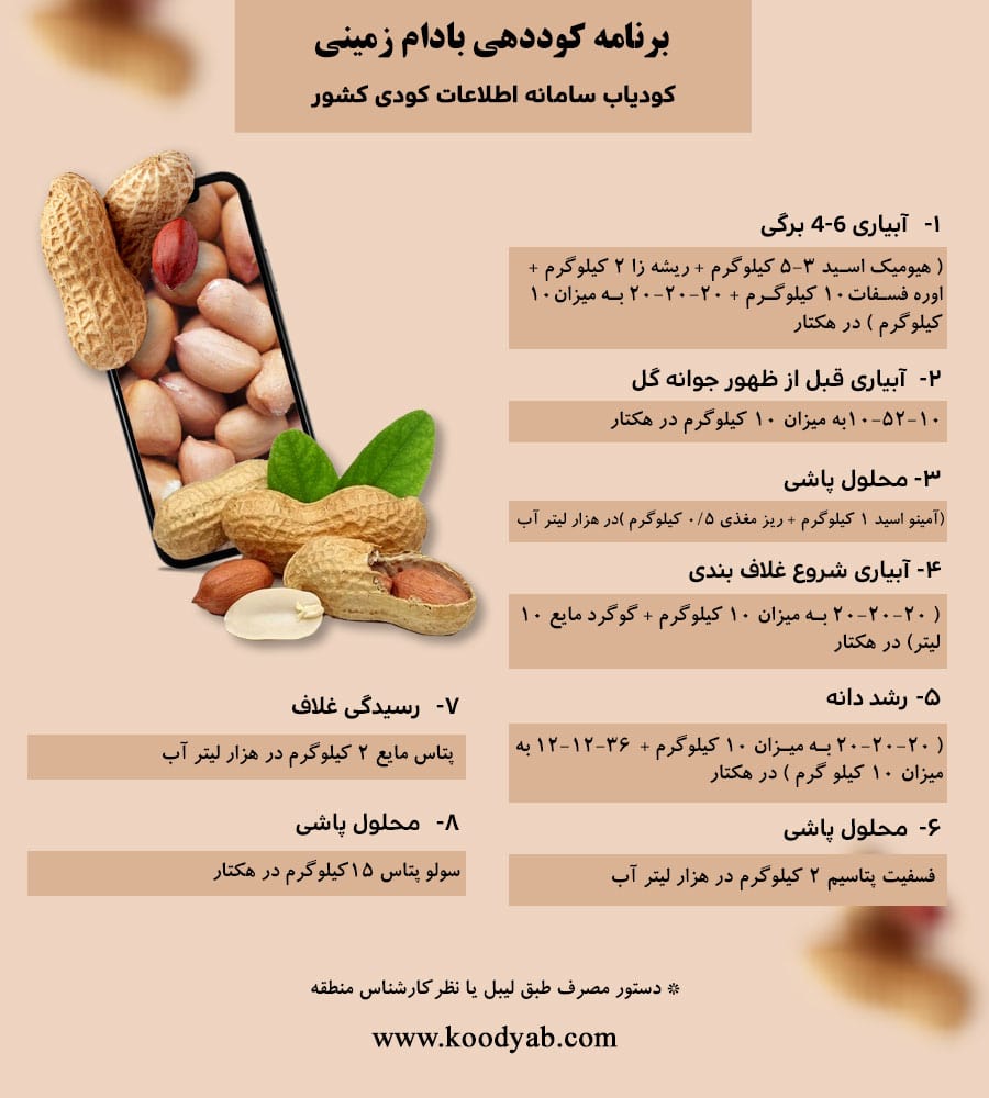 برنامه تغذیه و تقویم کوددهی بادام زمینی