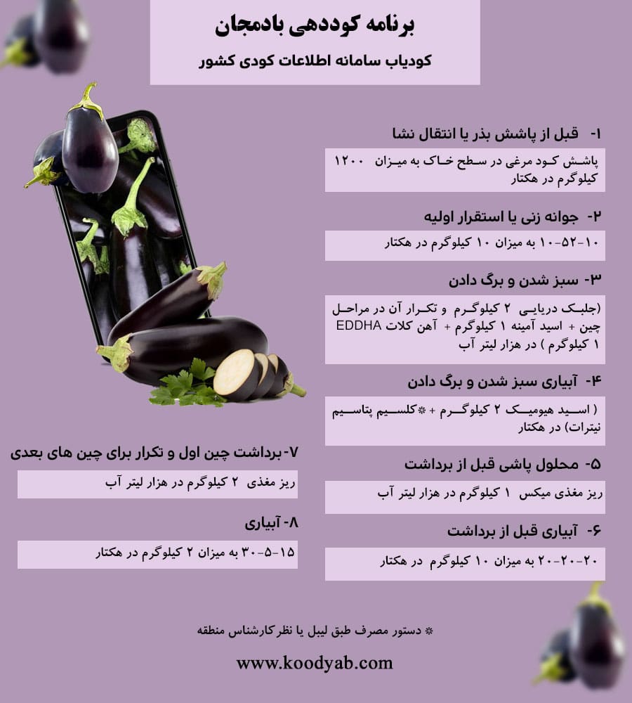 برنامه تغذیه و تقویم کوددهی بادمجان