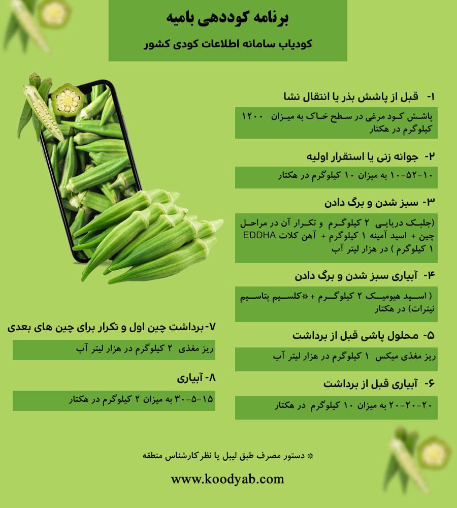 برنامه تغذیه و تقویم کوددهی بامیه