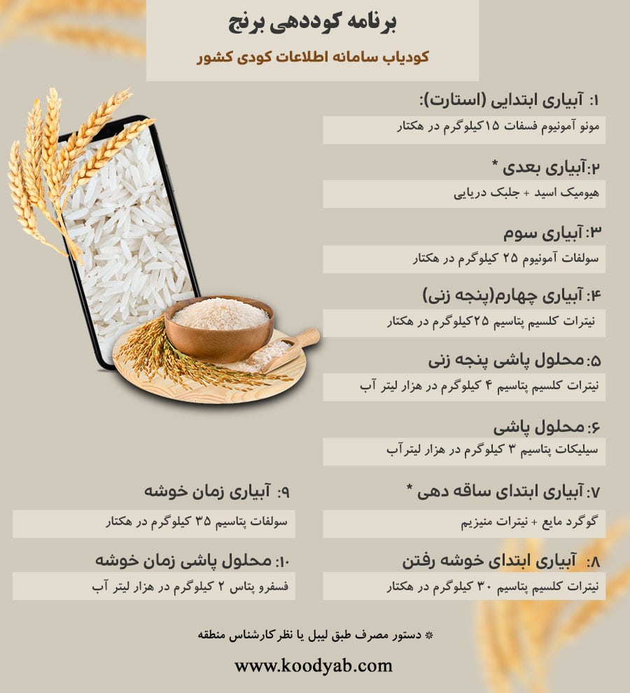 برنامه تغذیه و تقویم کوددهی برنج