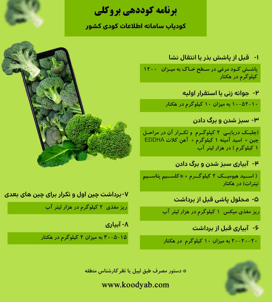 برنامه تغذیه و تقویم کوددهی بروکلی