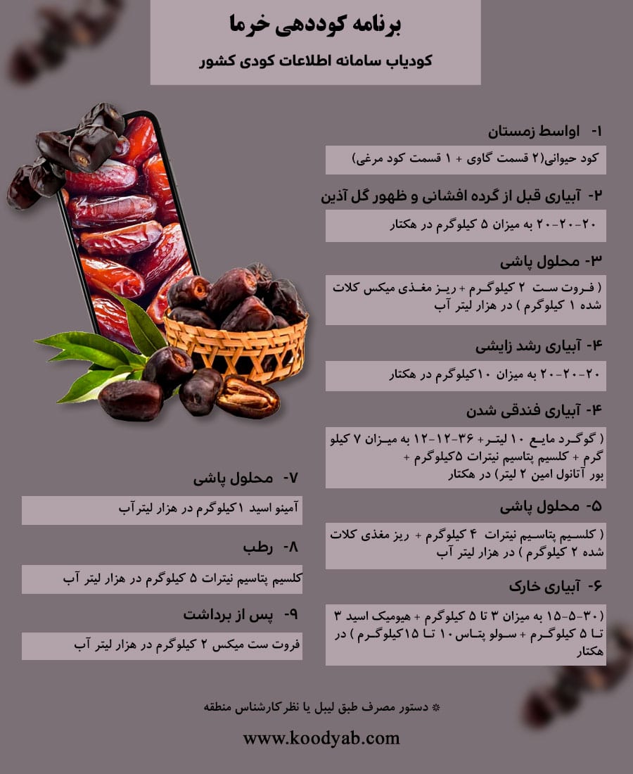 برنامه تغذیه و تقویم کوددهی خرما و نخل