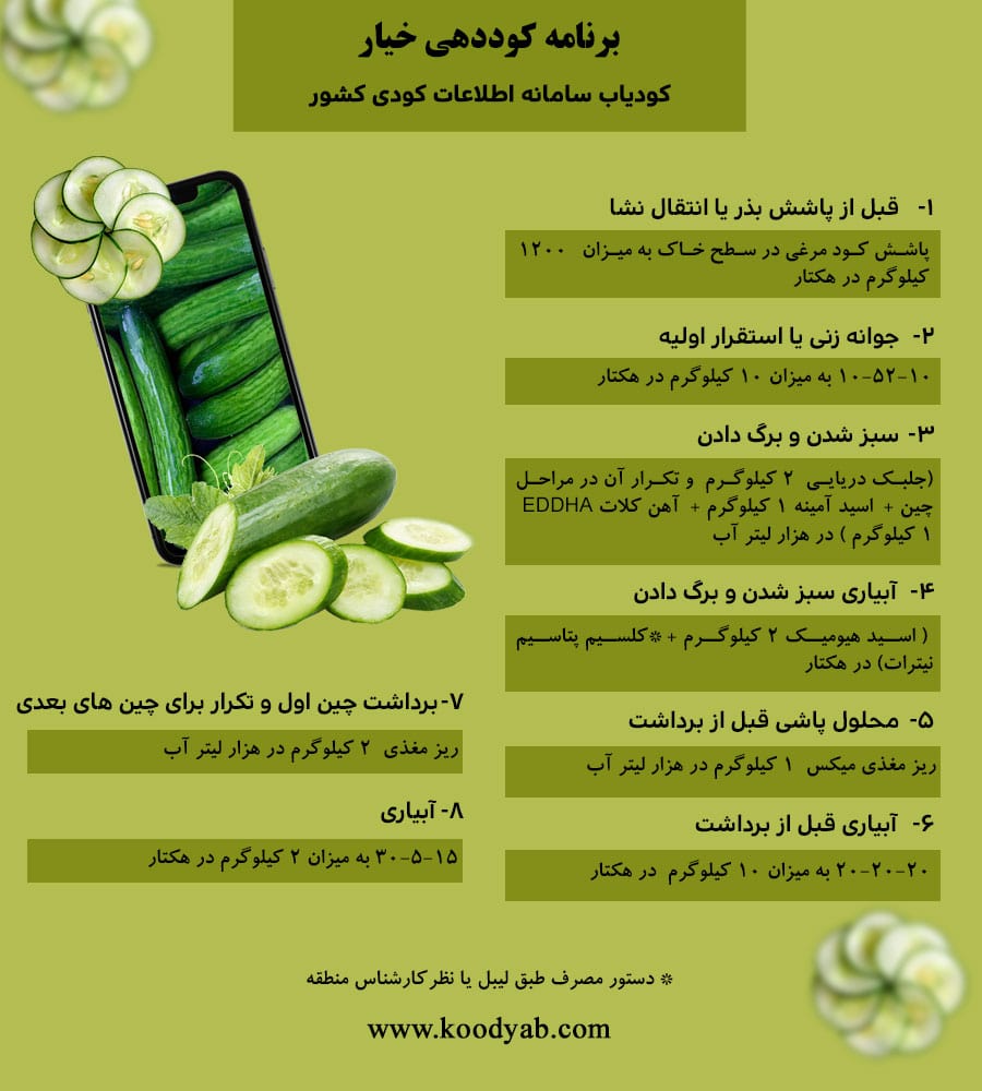 برنامه تغذیه و تقویم کوددهی خیار