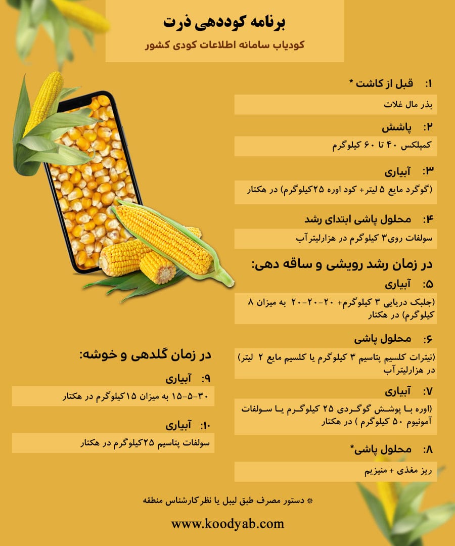 برنامه تغذیه و تقویم کوددهی ذرت