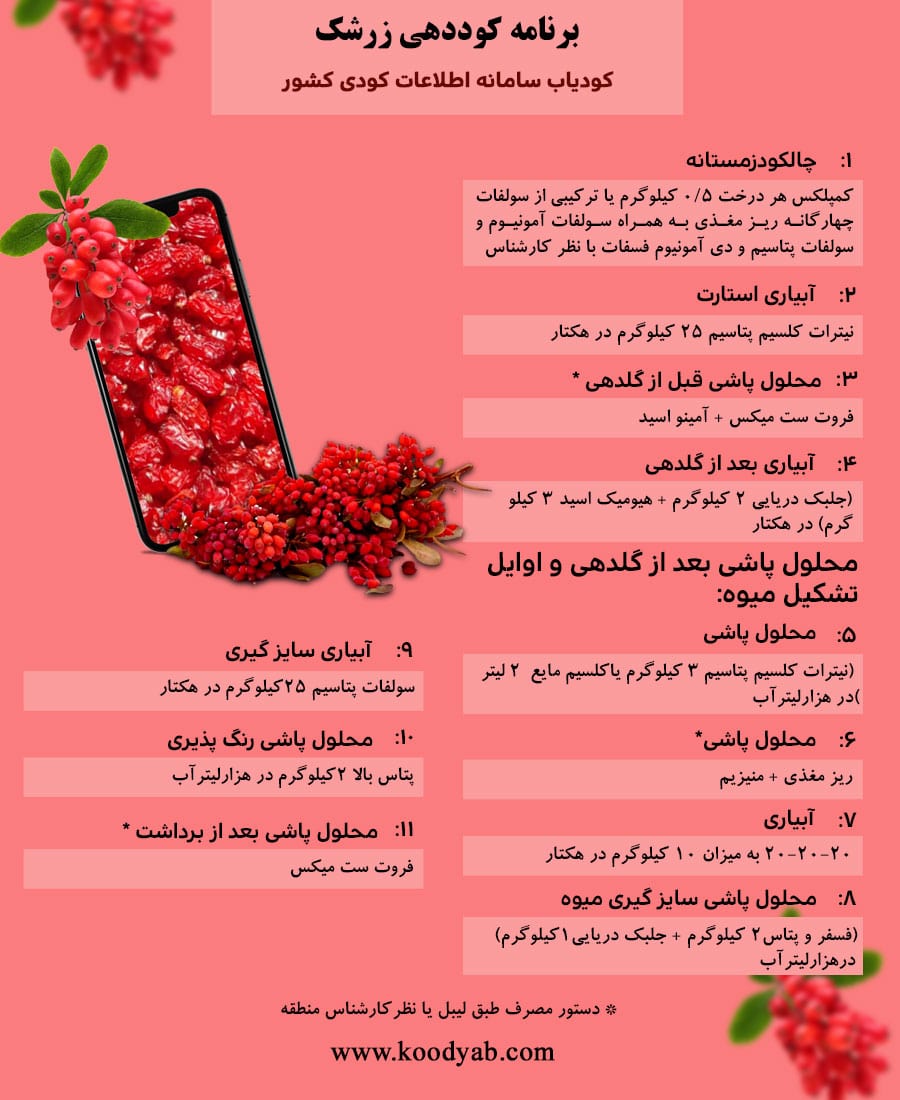 برنامه تغذیه و تقویم کوددهی زرشک