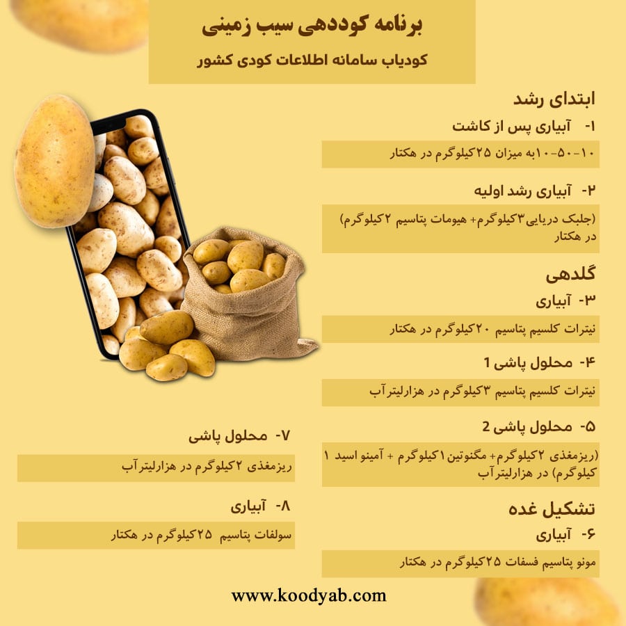 برنامه تغذیه و تقویم کوددهی سیب زمینی 