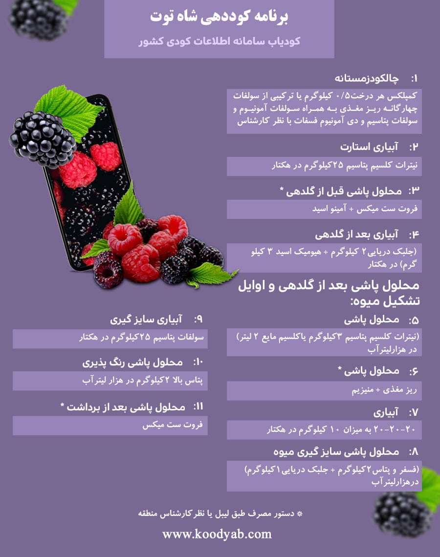 برنامه تغذیه و تقویم کوددهی شاه توت