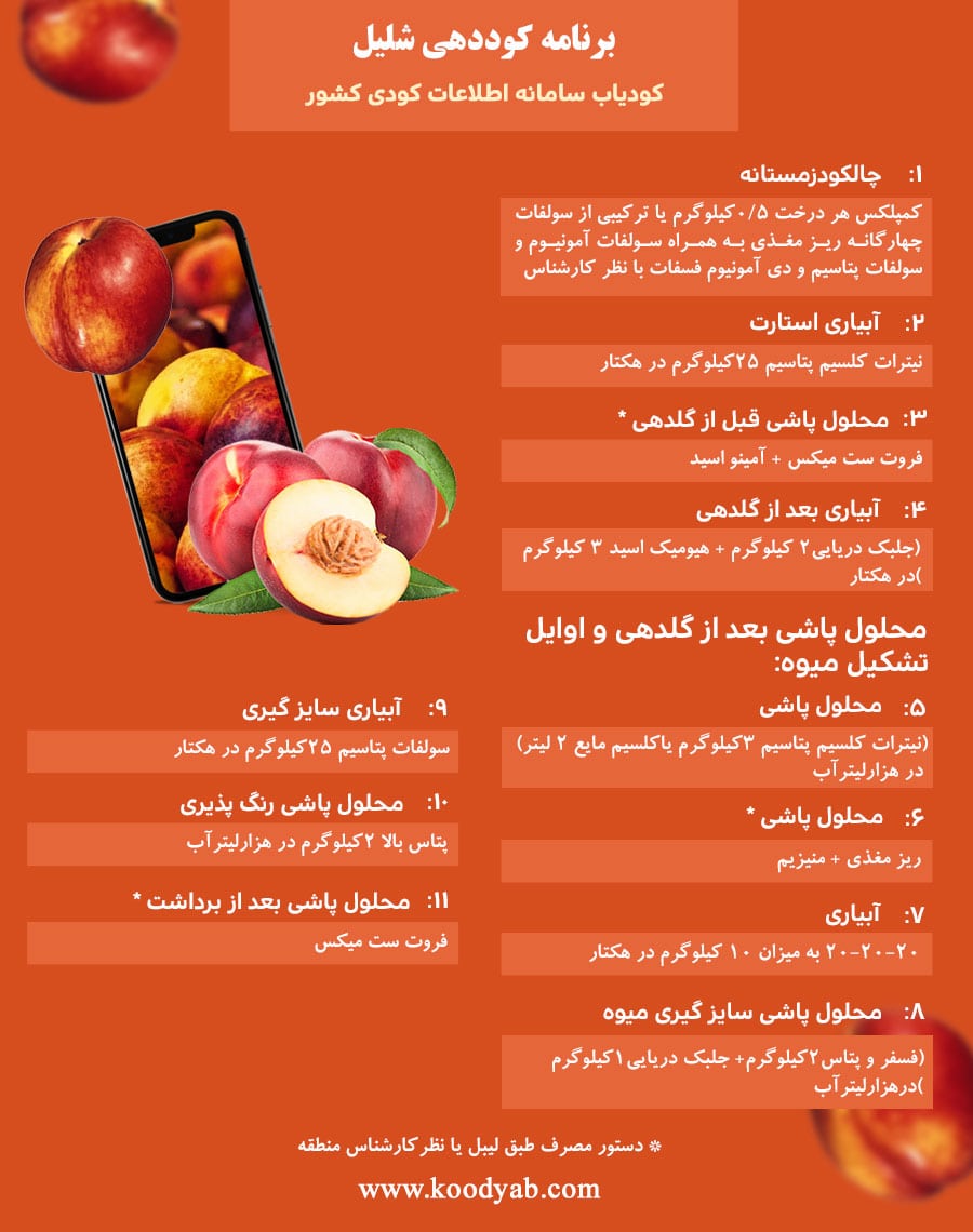 برنامه تغذیه و تقویم کوددهی شلیل