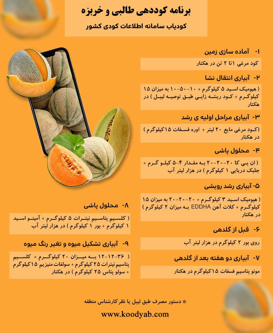 برنامه تغذیه و تقویم کوددهی خربزه