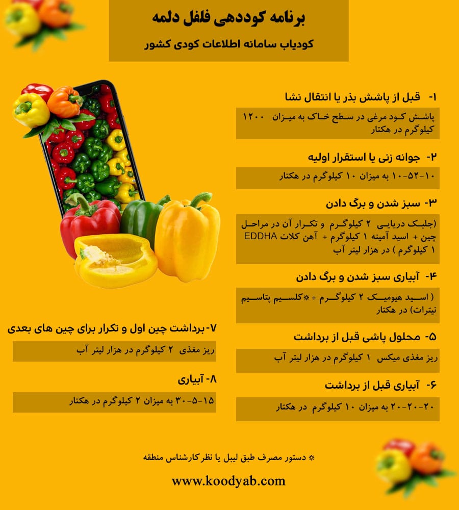 برنامه تغذیه و تقویم کوددهی فلفل دلمه