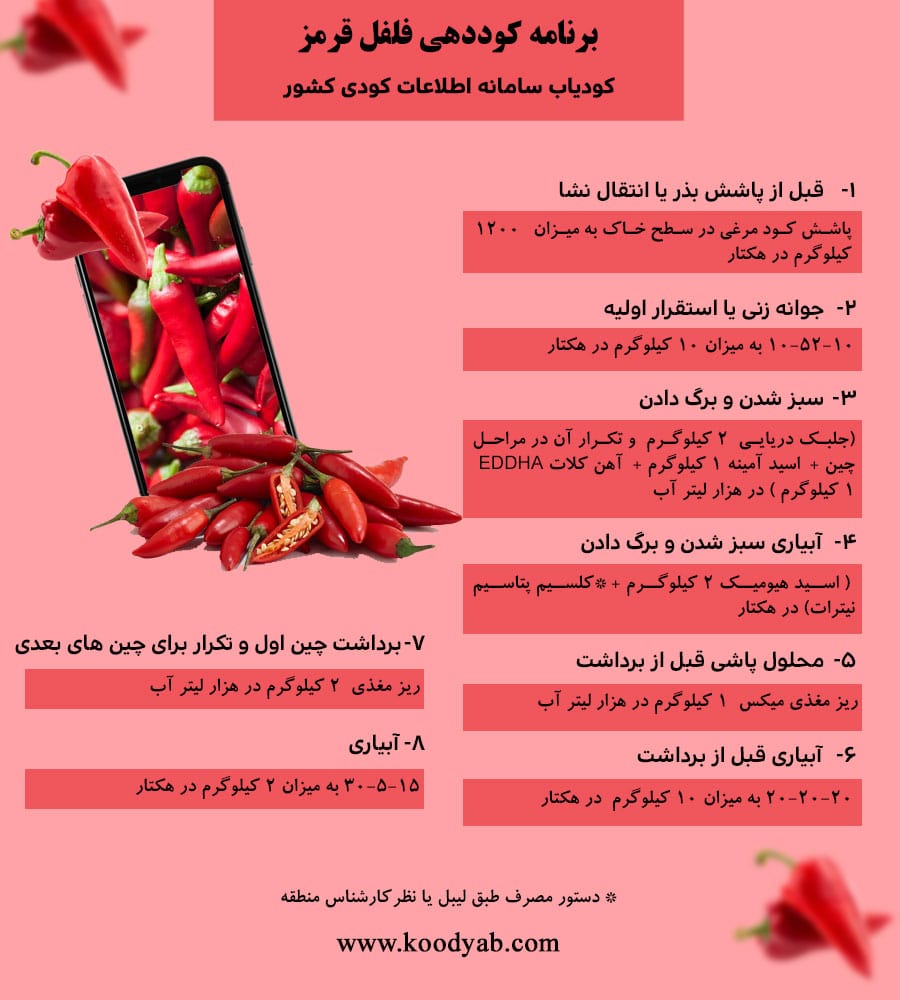 برنامه تغذیه و تقویم کوددهی فلفل قرمز