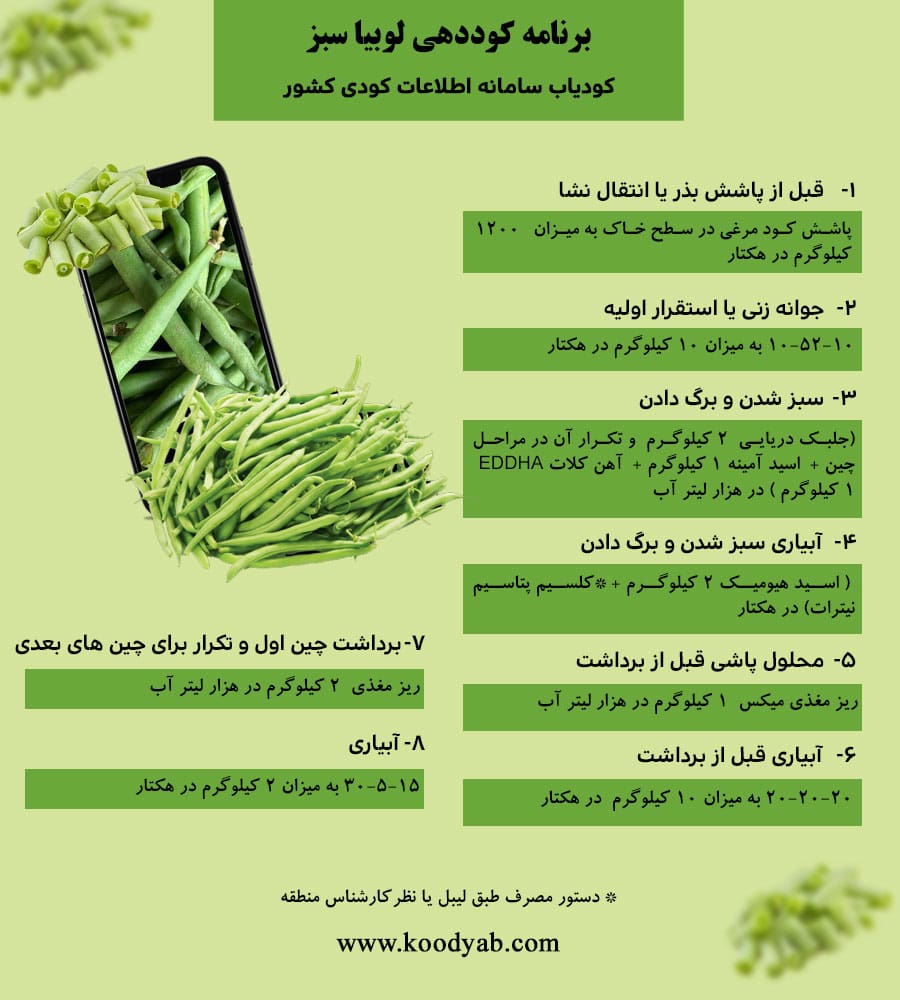 برنامه تغذیه و تقویم کوددهی لوبیاسبز
