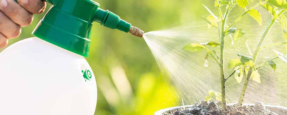 مزایای کود آمینو اسید