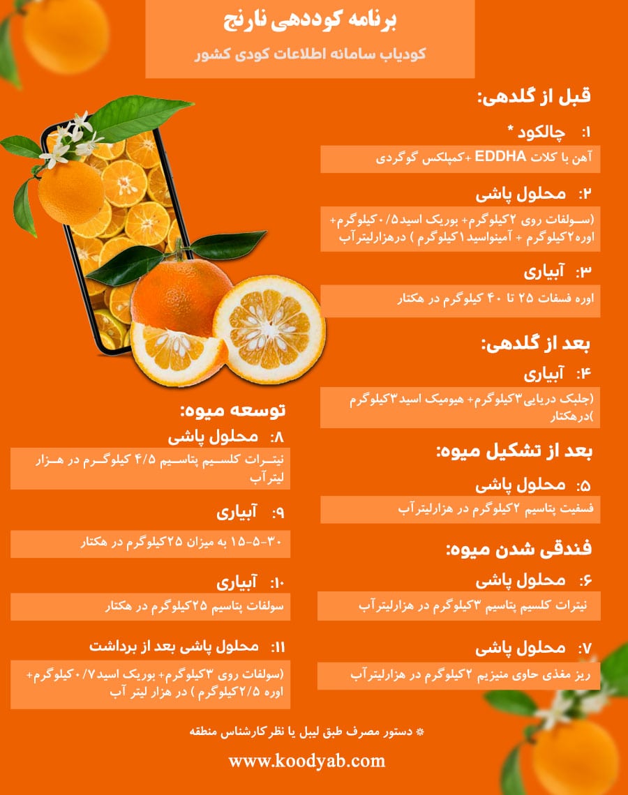 برنامه تغذیه و تقویم کوددهی نارنج