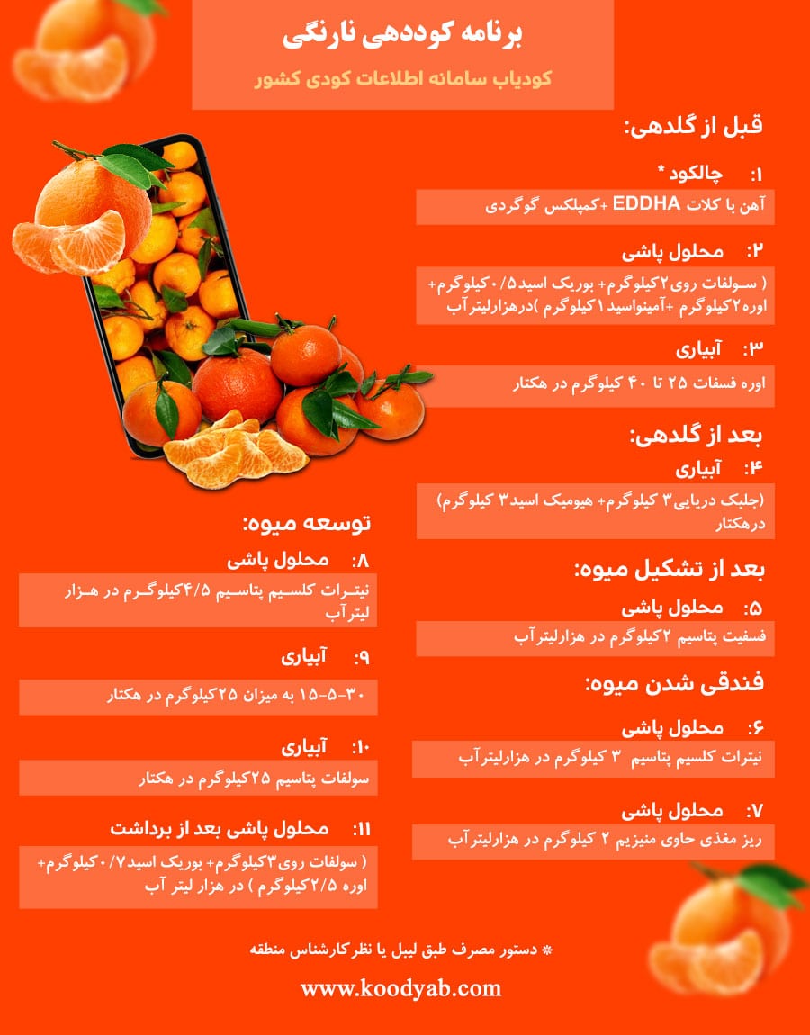 برنامه تغذیه و تقویم کوددهی نارنگی