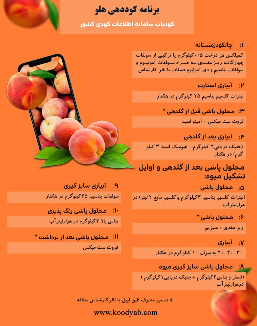 برنامه تغذیه و تقویم کوددهی هلو