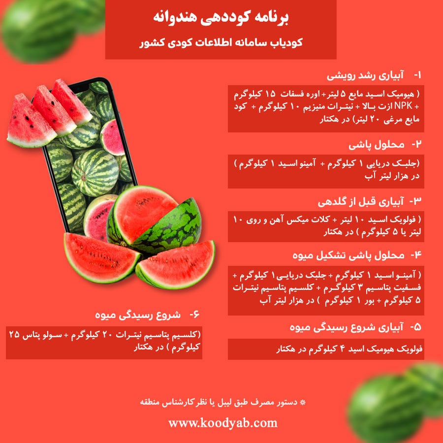 برنامه تغذیه و تقویم کوددهی هندوانه