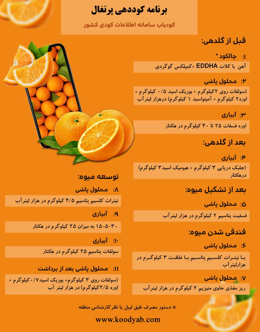 برنامه تغذیه و تقویم کوددهی پرتقال