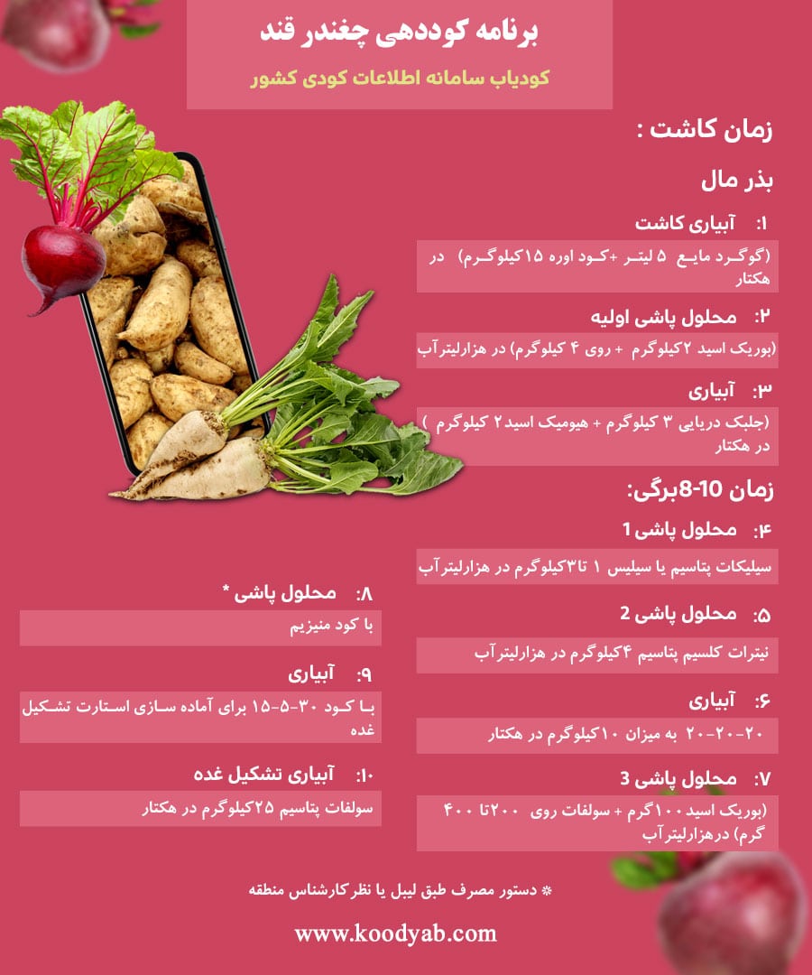 برنامه تغذیه و تقویم کوددهی چغندرقند