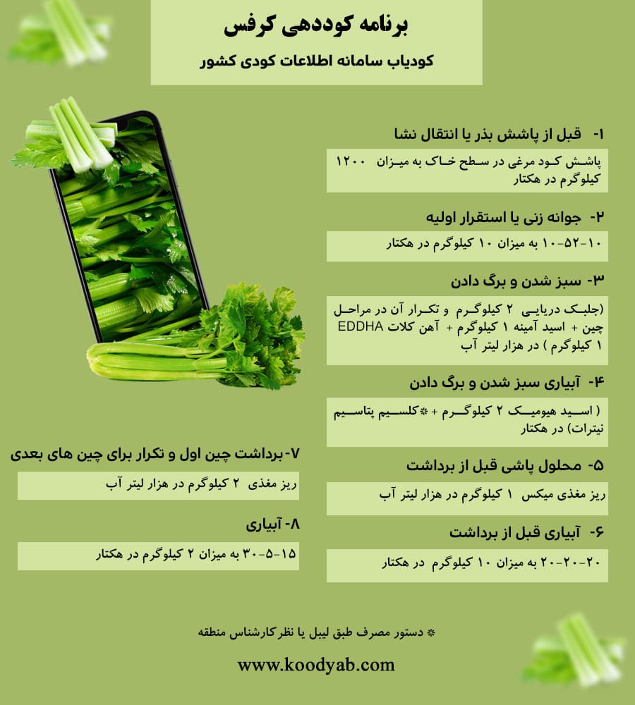 برنامه تغذیه و تقویم کوددهی کرفس