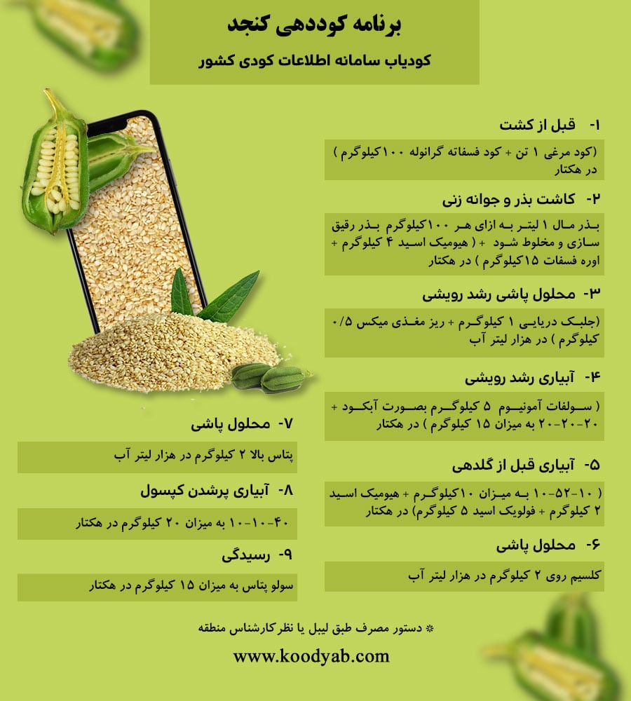 برنامه تغذیه و تقویم کوددهی کنجد
