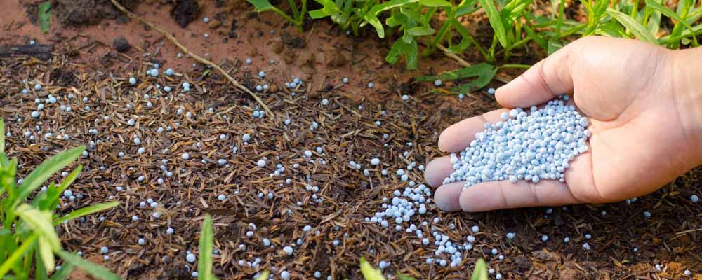 کودهای آهسته رهش