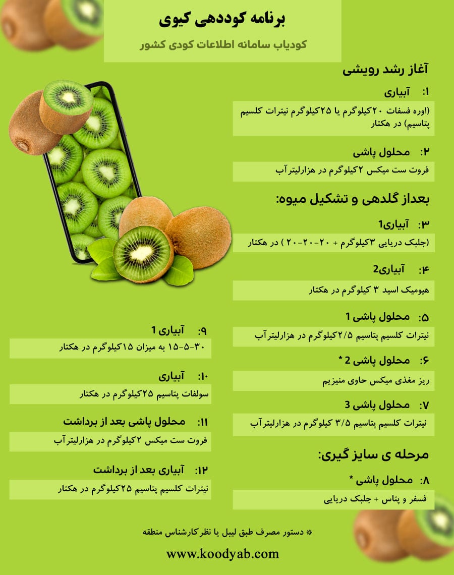 برنامه تغذیه و تقویم کوددهی کیوی 