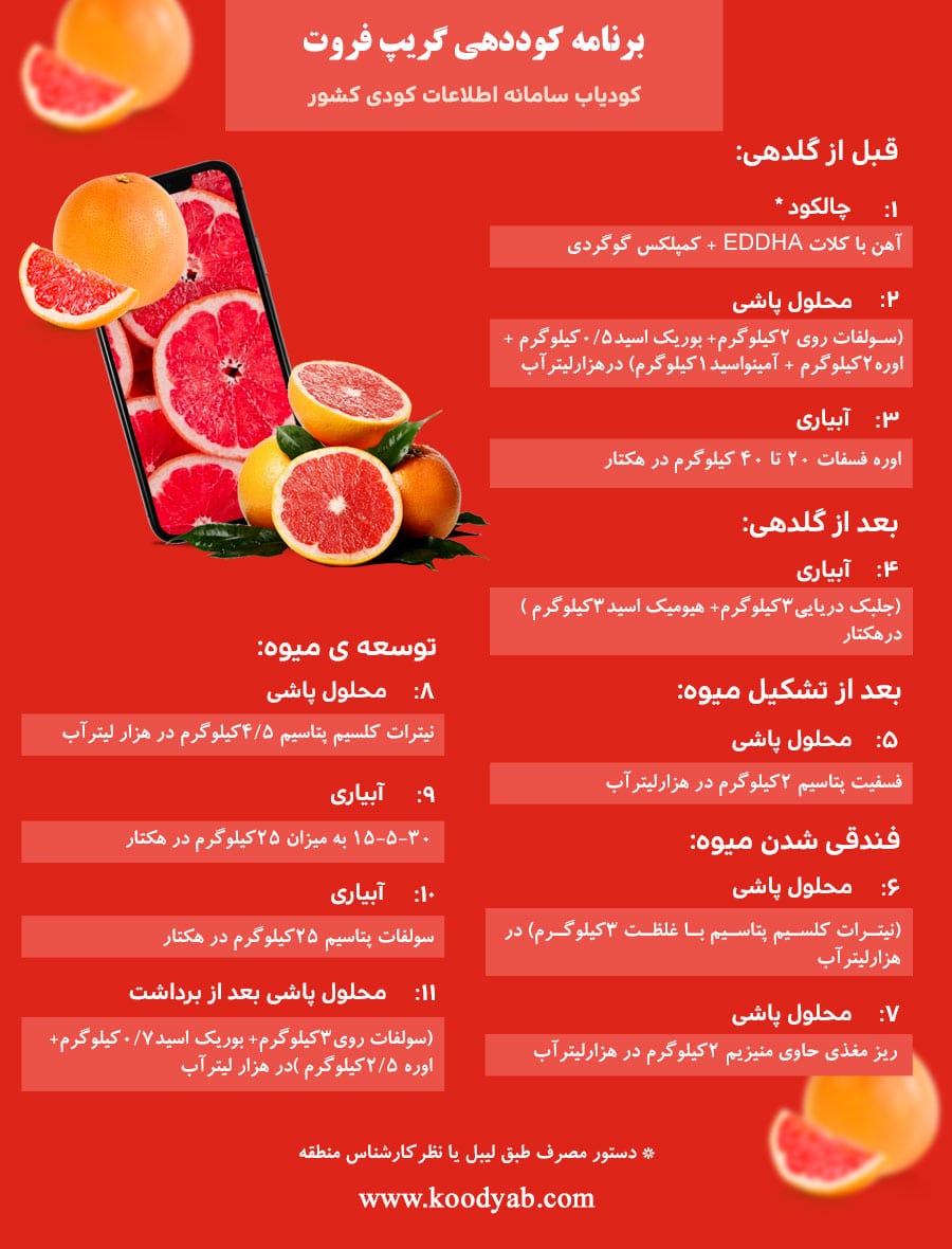 برنامه تغذیه و تقویم کوددهی گریپ فروت