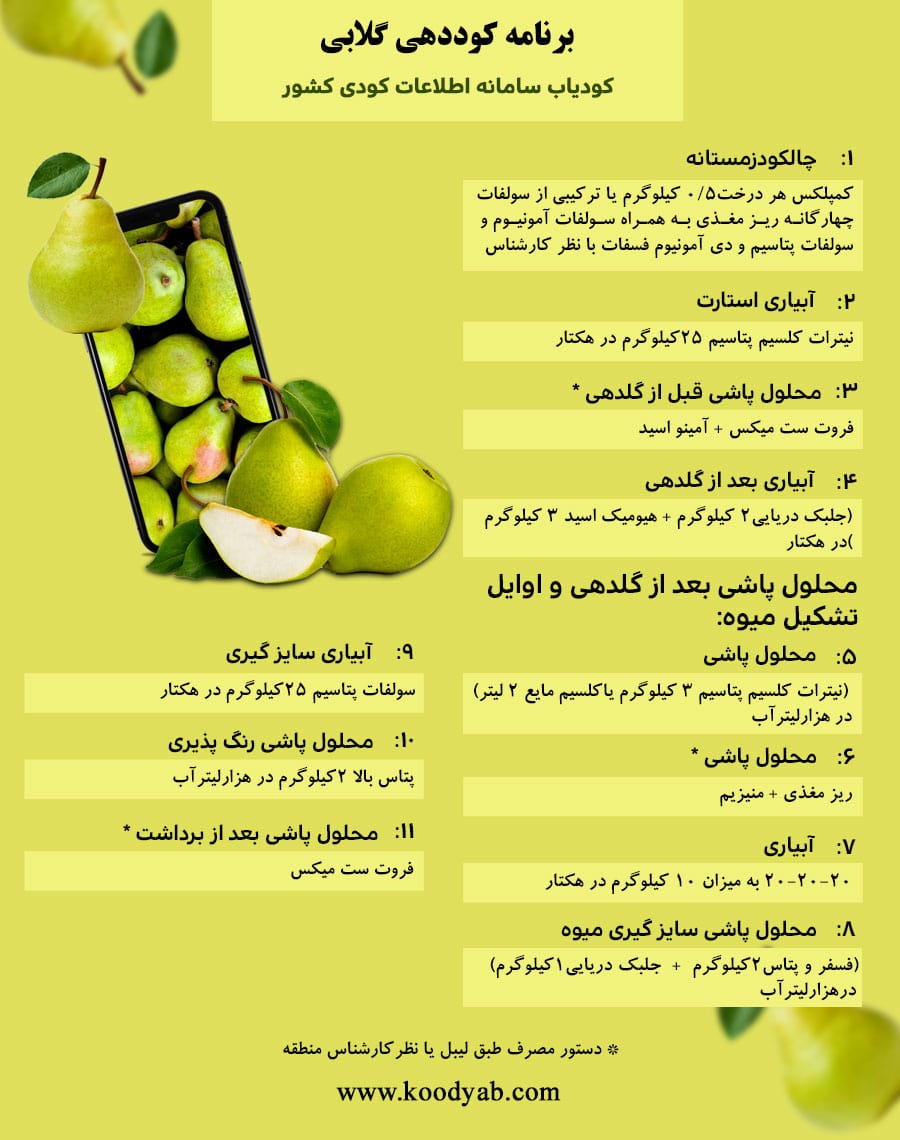 برنامه تغذیه و تقویم کوددهی گلابی