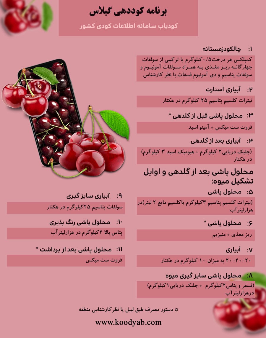 برنامه تغذیه و تقویم کوددهی گیلاس