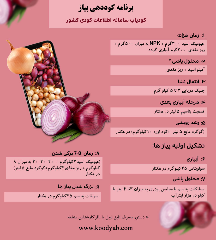 برنامه تغذیه و تقویم کوددهی پیاز