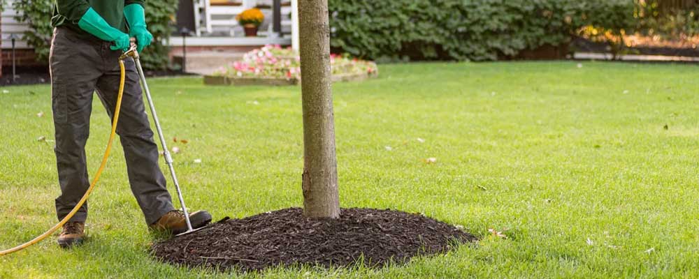 کود دهی گیاهان در پاییز
