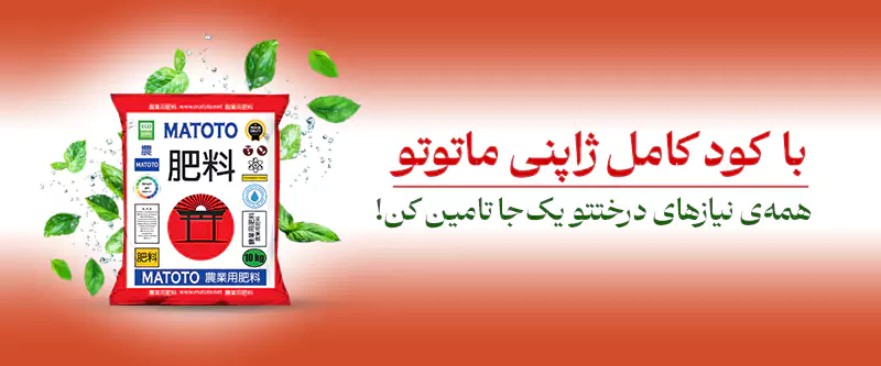 بنر