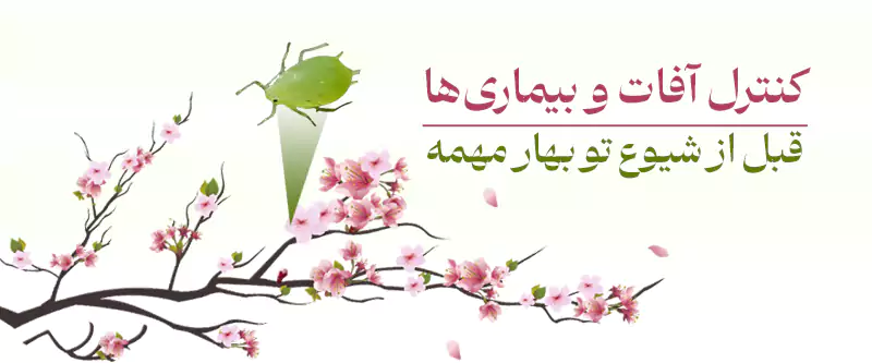 بنر