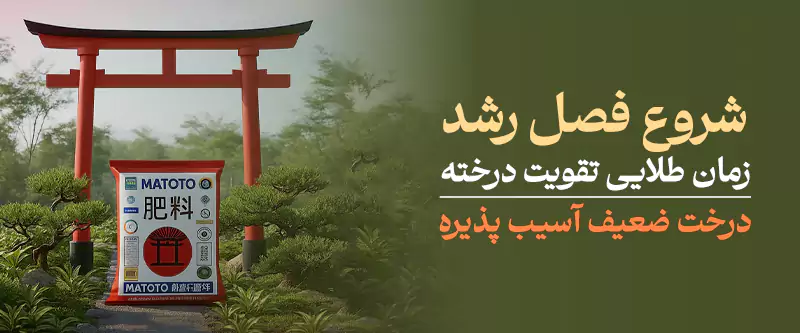بنر