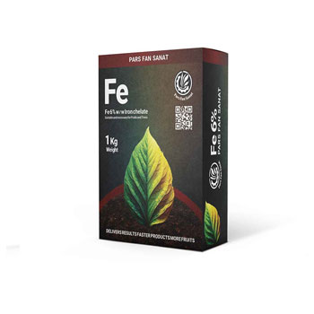 کلات آهن 6 یک کیلویی آنزان 